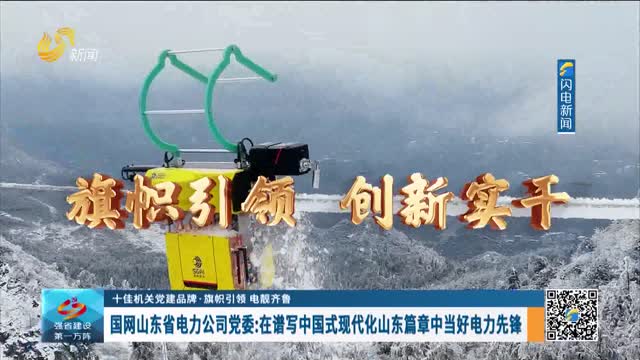 【十佳机关党建品牌·旗帜引领 电靓齐鲁】国网山东省电力公司党委：在谱写中国式现代化山东篇章中当好电力先锋